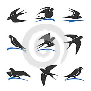 Martlet set. Vector bird