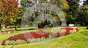 Marton Park Flowers Garden