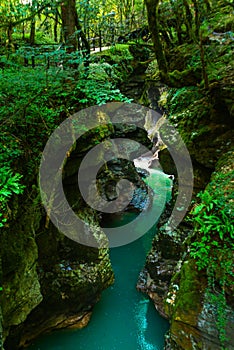 MARTVILI, GEORGIA: Turquoise water in the river in the Martvili Canyon on a summer day.