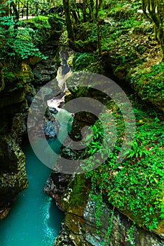 MARTVILI, GEORGIA: Turquoise water in the river in the Martvili Canyon on a summer day.