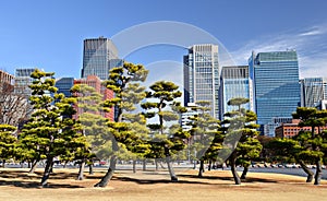 Marunouchi Business District