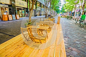 Marunouchi promenade (Marunouchi Nakadori)