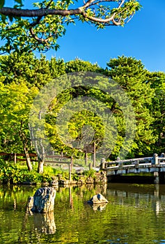 Maruyama Park in Kyoto, Japan