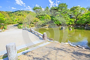 Maruyama Park Kyoto