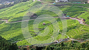 Maruyama Senmaida rice terraces in Japan photo