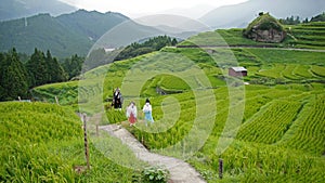 Maruyama Senmaida rice terraces in Japan photo