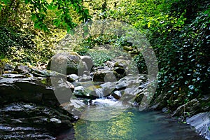 Marvellous mountain stream among southern forests