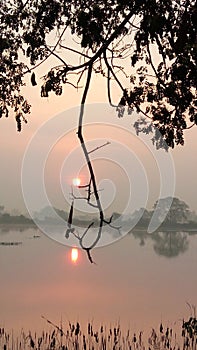 Marvellous reflection of water