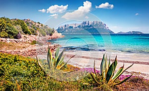 Marvelous summer view of Tavolara island from Spiaggia del dottore beach. Stunning morning scene of Sardinia island, Italy, Europe photo