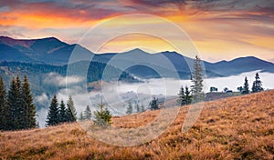 Marvelous sunrise in Carpathian mountains. Foggy autumn scene of mountain valley.