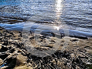 Sandy beach and blue water at  Sundown over the riverside of the river Rhein in Cologne with sky, clouds and bridge