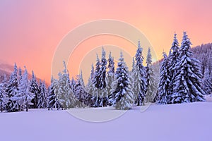Marvelous winter sunrise high in the mountains in beautiful forests and fields.
