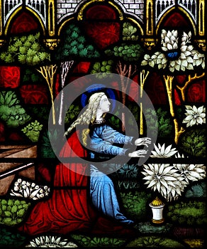 Mary Magdalene in stained glass photo