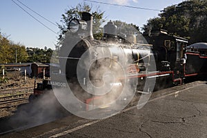 Mary Valley rattler steam train at Gympie station.