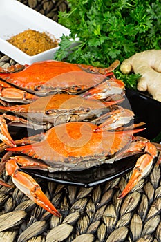 Maryland blue crabs. Steamed crabs. Crab fest.