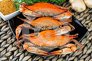 Maryland blue crabs. Steamed crabs. Crab fest. photo