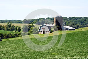 Maryland Farm