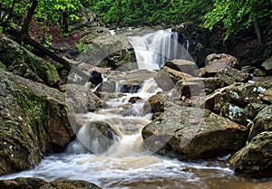 Maryland forest waterfall