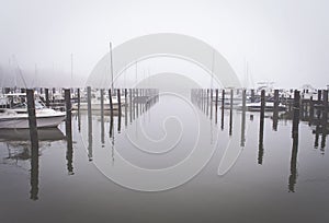 Maryland Marina with fog and boats