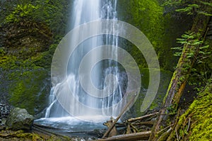 Marymere Falls Olympic National Park Washington state