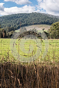 Marysville, Lookout, Victoria Australia