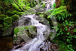 Maryvine Falls in Sooke Potholes Provincial Park, BC