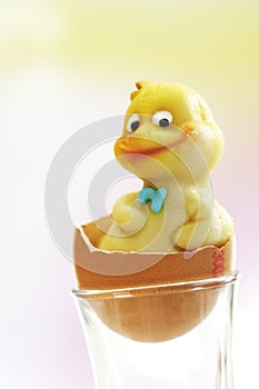 Marzipan chick in eggshell, close-up