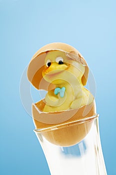 Marzipan chick figurine in eggshell