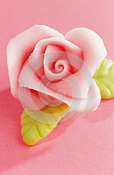 Marzipan rose over pink