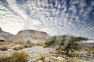 Masada, Israel