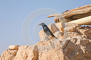 Masada National Park in the Dead Sea region of Israel