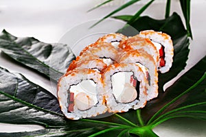 Masago Sushi roll Orange red shrimp Philadelphia cheese, sweet pepper still life on trapicheskih Cunha leaves Japanese