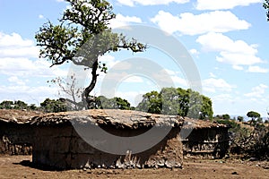 Masai house