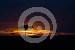 Masai Mara at sunset