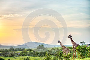 Masai Mara sunset