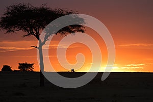 Masai mara sunset