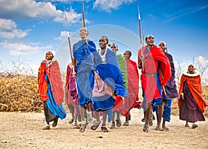 Masai warriors dancing traditional jumps. Tanzania.