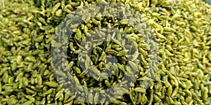 Masala mixture fennel seeds isolated on green colour