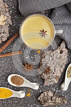 Masala tea with star anise, cinnamon, turmeric spices on tree bark. Healthy organic drink flat lay