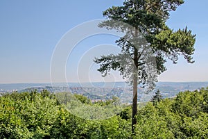 Masaryk grove in Brno, Czech Republic