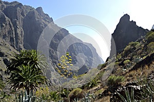 Masca canyon, Tenerife, Spain