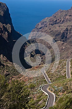 Masca Cliifs and canyon Tenerife