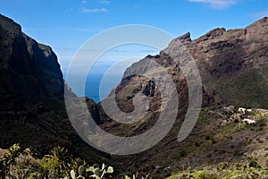 Masca Cliifs and canyon Tenerife