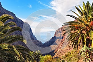 Masca Gorge, Tenerife