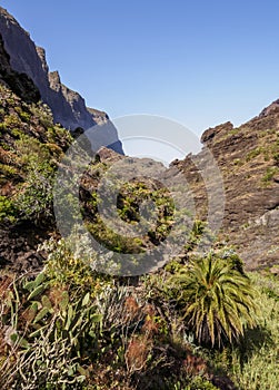 Masca Gorge on Tenerife Island