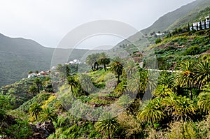 Masca in the municipality of Buenavista del Norte de Tenerife in the Canary Islands. Spain photo