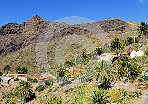 Masca, Tenerife photo