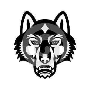 Head of Gray Wolf or Timber Wolf Front View Sports Mascot Black and White