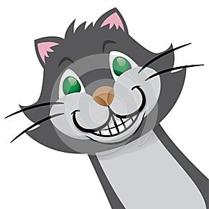 Mascot curious cat smiling felino