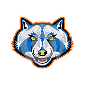 North American Raccoon Mascot